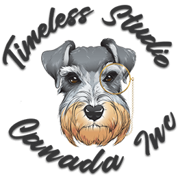 Timeless-Studio-Logo